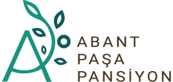 Abant Paşa Pansiyon | Online Booking